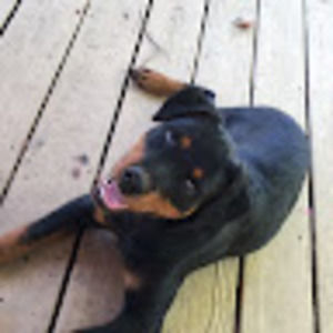 Meet your Posher, Goinnightandday